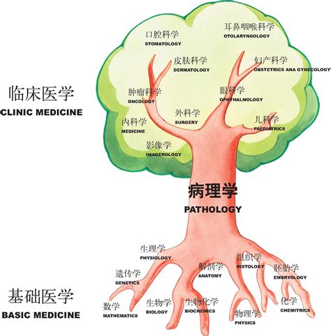 生理是什麼意思|生理学（医学重要基础理论学科）